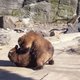 N503461844_1015302_9927.small