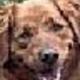 Avatar1283_1.small