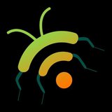 Blackbug.medium