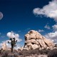 Full_moon_at_joshua_tree__california__usa.small