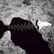 Spinal.small