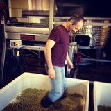 Viognier%20stomp%202012.medium