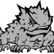 Horned_frog.small