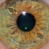 Josh%20eye.medium