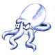 Angrysquid.small