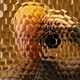 Facets_tn.small