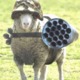 War_sheep.small