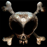 Rs_black_skull.medium