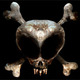 Rs_black_skull.small