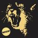 Ratatat_classics.small