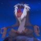 Rafiki.small