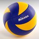 Volleyball.small