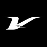 V%20white.medium