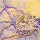 Purple%20and%20yellow%20nest%20jpeg002.medium