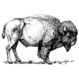 New-footer.medium