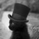 Fb_profile_picture.small