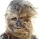 133946__wookie_l.small