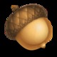 Acorn256.small