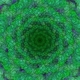Springle3461_5653.small