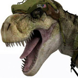 Sammy_avatar.medium