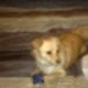 Fb_profile_picture.small