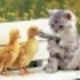 Fb_profile_picture.small