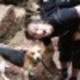 Fb_profile_picture.small