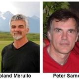 Merulloandsarno.medium
