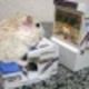 Fb_profile_picture.small