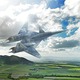 Newfalkenavatar_2_200x200.small