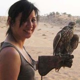 Falconamychu.medium