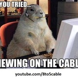Gopher-tech-support-have-you-tried-chewing-on-the-cable-computer-meme.medium