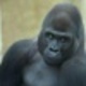Fb_profile_picture.small