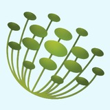 22seeds_logo_updated_color.medium