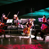 Cncacstrings.medium
