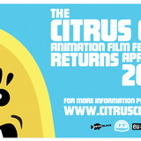 2013_cc_info_frame.medium