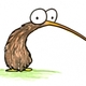 Kiwi-1.small