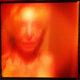 Jarboe13aug2012.small