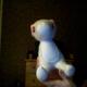 Tphoto_00006.small