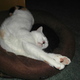 Sam_0118.small