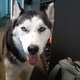 2012-07-05_16.44.30.small