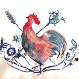 Rooster-small.medium