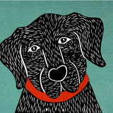 Bad-dog-05091-blackimage-fo.medium