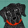 Bad-dog-05091-blackimage-fo.thumb