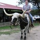 Duderanch__006.small