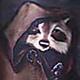 Raccoonthief.small