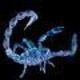 Scorpion.small
