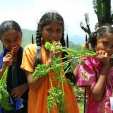 Mountain_carrots_by_kirsten_anderson.medium