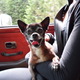 Sam_0545.small