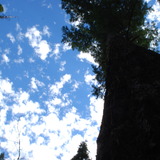 Dsc_0397.medium
